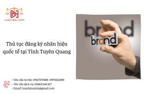 Thủ tục đăng ký nhãn hiệu quốc tế tại Tỉnh Tuyên Quang